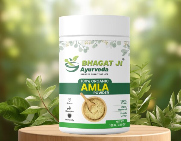 Amla Powder - Image 2